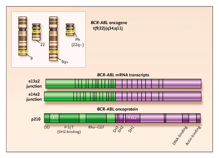 NEJM -- Chronic Myeloid Leukemia -- Advances in Biology and