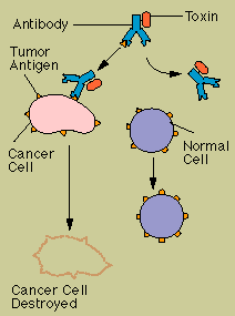 Immunotherapy